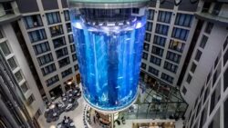 82ft aquarium that exploded in German hotel was ‘ticking time bomb’