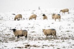 Thousands without power on Shetland as temperatures plummet to -17C