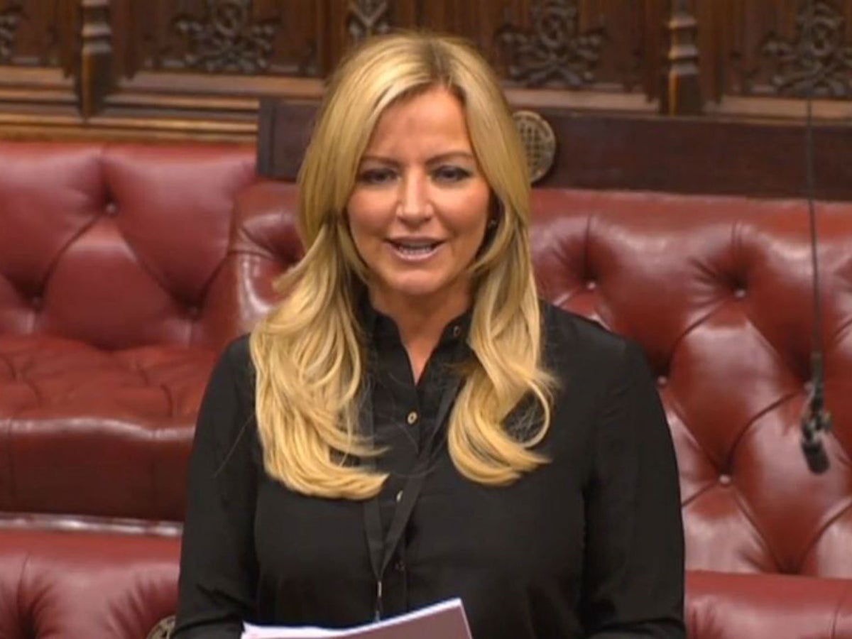 Michelle Mone Takes Leave Of Absence From House Of Lords Amid Ppe Contract Claims Wtx News