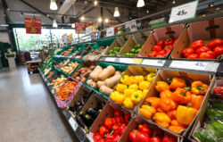 Grocery price rises in Great Britain slow as shoppers opt for own-label products | Supermarkets