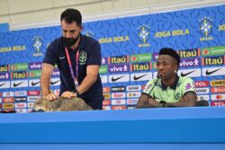 Brazil official stuns press conference by manhandling cat in disturbing footage