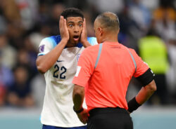 Wilton Sampaio – the heavily criticised referee for England’s defeat to France – could be given World Cup final