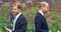 William’s rift with Harry ‘unlikely’ to ever be healed, friend claims