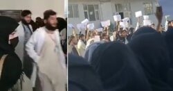 Male Afghan students ‘walk out of exams in protest’ after Taliban bans women studying