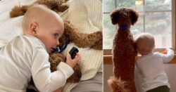 Toddler and puppy are now inseparable after growing up together