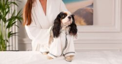 You can now bring your dog for a spa day at one of the UK’s top hotels