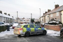 Neighbour ‘heard screaming’ on street where two boys were found dead