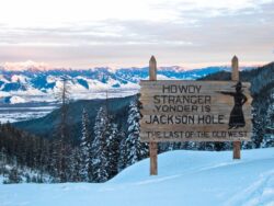 Skier rescued after avalanche buries and carries them 500 yards