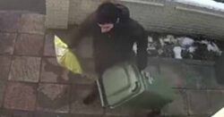 Thief takes package from under wheelie bin hidden moments earlier by Evri driver