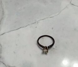Couple finds their lost engagement ring in toilet 21 years later