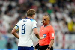 Wikipedia says referee ‘lost his guide dog’ after apparent England fan edits