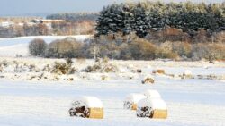 UK weather: advice given for those struggling with costs as cold snap hits the UK  