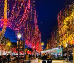 Visit the Paris Christmas lights 