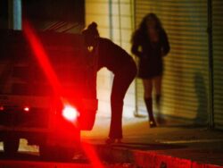 Change brothel laws to keep sex workers safe, top police officer urges government