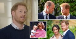 Prince Harry interview with Tom Bradby in full