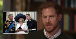 Harry calls Camilla a ‘villain’ and ‘dangerous’ over her ‘need to rehabilitate image’