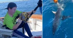 Moment fishing 12-year-old boy catches a great white shark