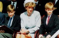 Harry claims his father ‘didn’t hug him’ after Diana’s death