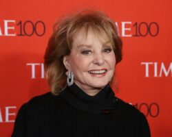 The View stars remember Barbara Walters in emotional scenes after her death at 93: ‘She single-handedly changed my life’