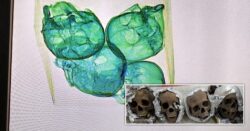 Package with 4 human skulls destined for US intercepted in Mexican airport