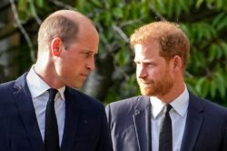 William ‘lunged at Harry, screaming and shouting over Oprah interview’