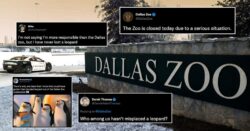 Dallas Zoo lost a leopard and Twitter went wild