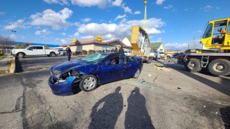 Woman dies after restaurant sign crushes car