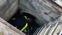 Woman pulled from storm drain for the third time in less than two years