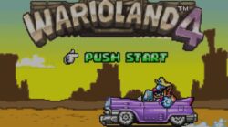 Gamer grandma bought 24 copies of Wario Land 4 and no one knows why