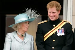 SPARE leaked: Harry and William begged Charles not to marry Camilla 
