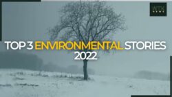 Top 3 environmental stories 2023