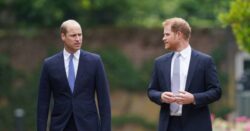 Harry accuses Prince William of physical attack – report 