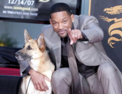 I Am Legend sequel confirmed with Will Smith returning – and is inspired by The Last Of Us TV series