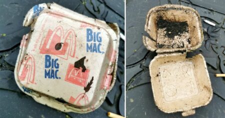 Ancient fast food artefact that is 27 years old discovered by litter pickers