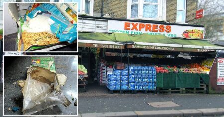 East London shop fined £26,899 after rodents caught ‘eating food on display’