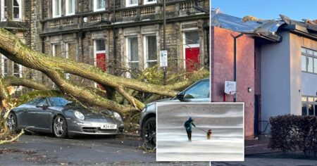 Thousands face blackouts this weekend after Storm Otto hits UK with 80mph winds