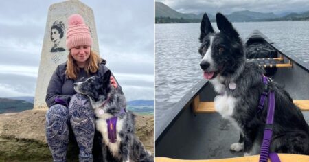 Border Collie with incurable cancer ‘living her best life’ thanks to bucket list