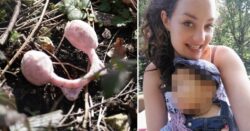 Police find pink earmuffs in hunt for Constance Marten’s missing child