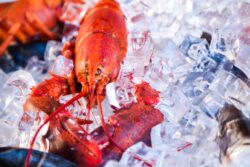 ‘Manny’ sues for injury he got while chopping lobster for millionaire client’s son