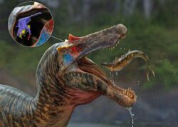 Spinosaurus c3c6 e1676332946647 5i3YIn - WTX News Breaking News, fashion & Culture from around the World - Daily News Briefings -Finance, Business, Politics & Sports News
