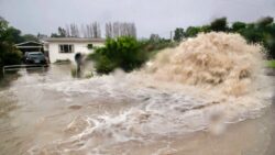Cyclone hits New Zealand, state of emergency declared amid flooding and landslides 