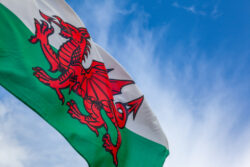 St David’s Day 2023: Who was the saint and how is the day celebrated?