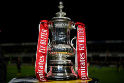 Manchester United avoid Manchester City in FA Cup semi-final draw – but must beat Fulham first