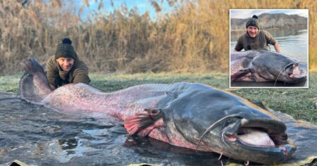 British angler catches huge 222lb catfish after it dragged his boat half a mile