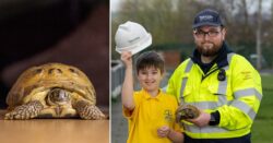 Boy, 9, reunited with beloved pet tortoise seven months after she went missing