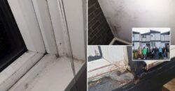 15 ‘neglected’ family homes plagued with mould and damp to be demolished