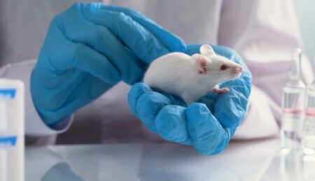 Japanese scientist creates mice with two fathers in breakthrough research