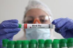 First recorded case of bird flu in a human detected in Chile