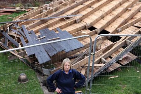 Woman ‘just couldn’t stop crying’ after garage roof blew into her garden