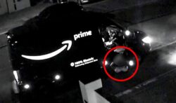 Amazon driver ‘urinated on couple’s driveway’ before delivering package